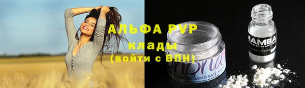 мяу мяу мука Баксан