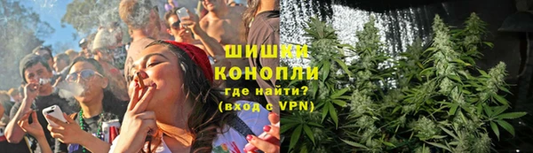 мяу мяу мука Баксан