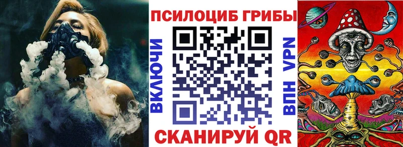 закладка  кракен маркетплейс  Галлюциногенные грибы Cubensis  Новомосковск 